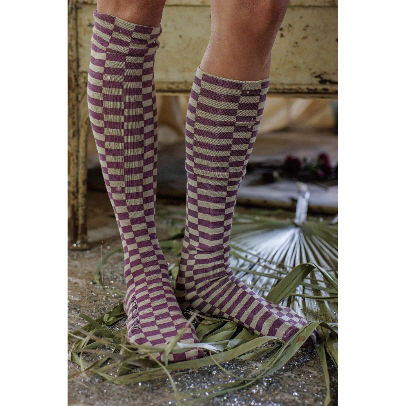 Magnolia Pearl Checkered Over the Knee Socks 173