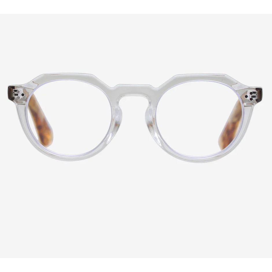 Reality Makinly Readers - Crystal Turtle