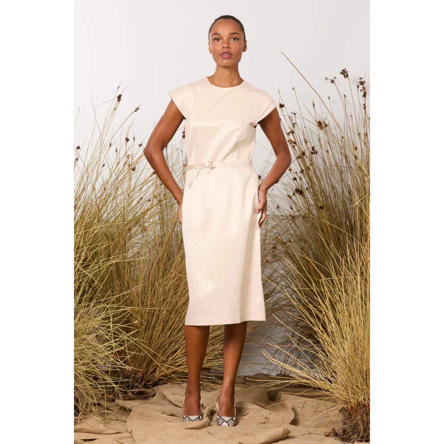 M.A Dainty Alexa Dress - Shell