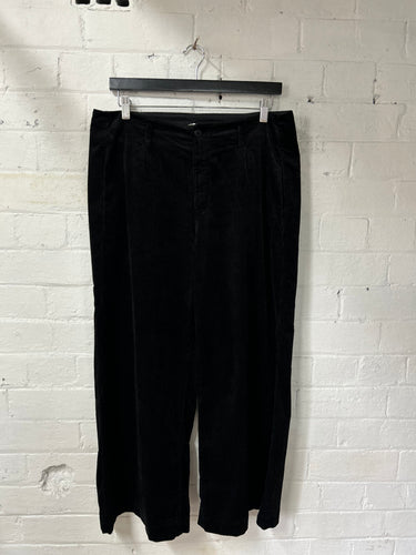 Transit Pant Q264