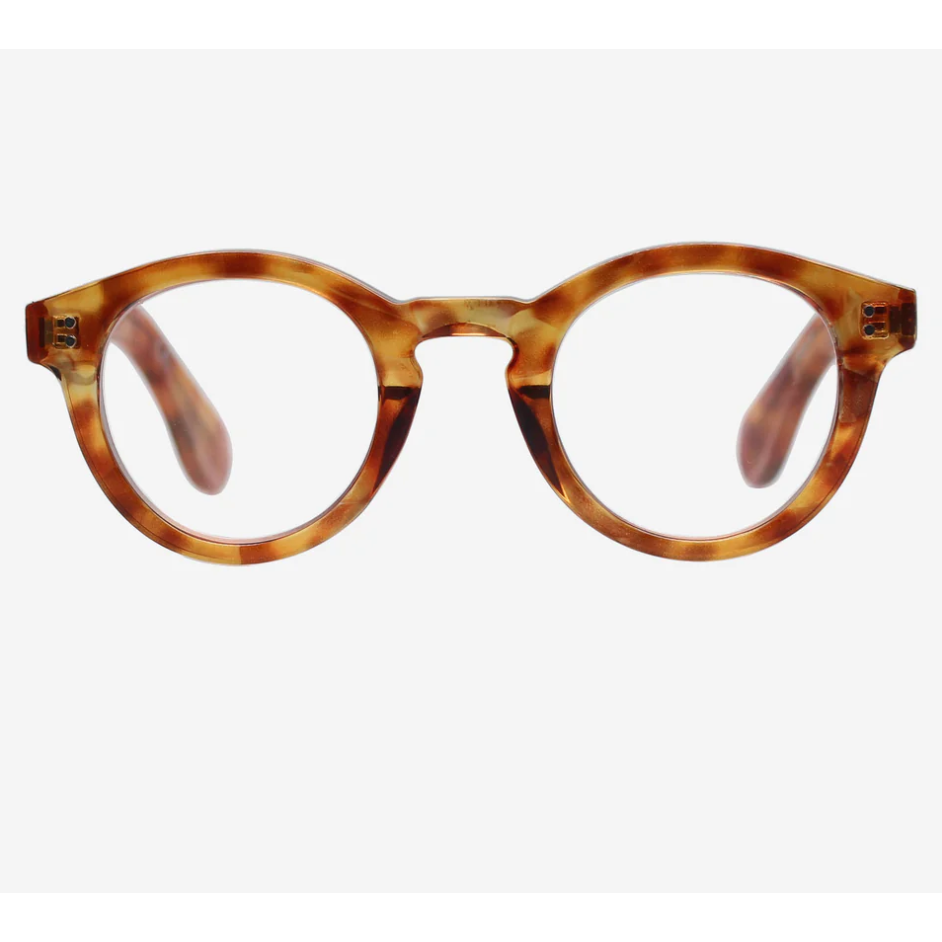 Reality Seuss Readers - Turtle